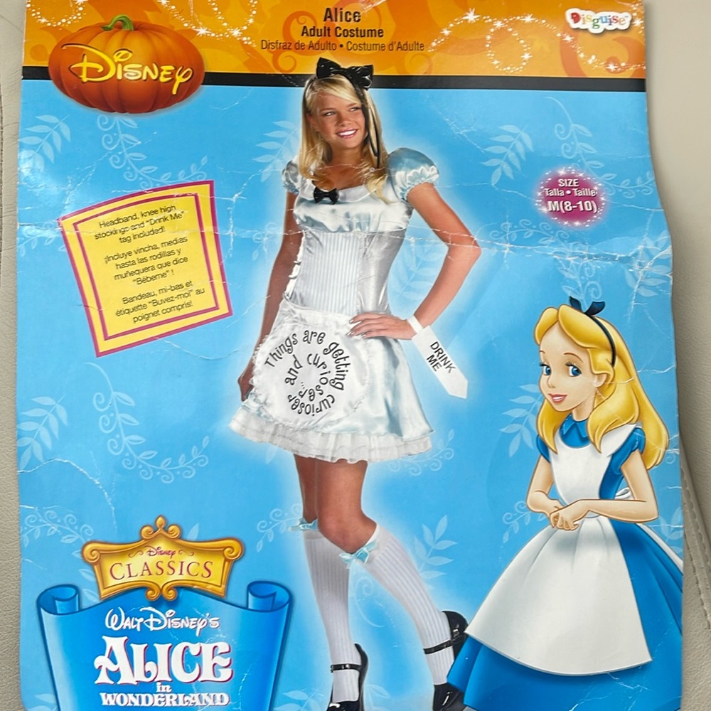 Alice in Wonderland Costume